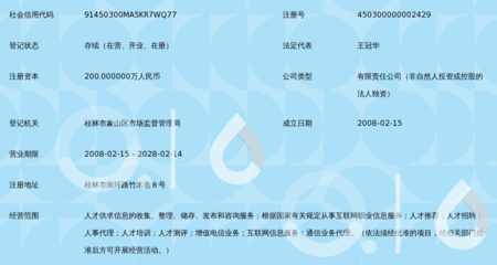 桂林市盛才人力资源服务有限责任公司 专业引领互联网信息咨询服务新篇章